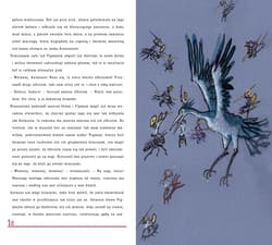 Galeria - zdjęcie nr. 2 - Pigmeje. Opowieści z zaczarowanego lasu. Mity greckie. Tom 11 + CD