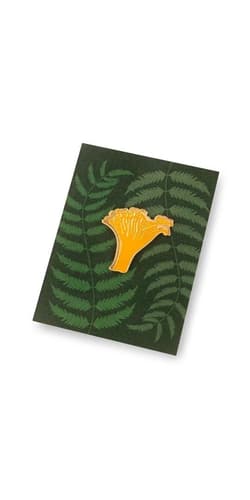 Pin grzyb kurka