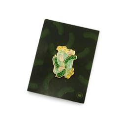 Pin ogórki kiszone