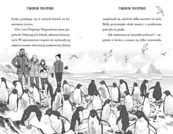 Galeria - zdjęcie nr. 2 - Pingwin Palomino