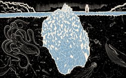 Galeria - zdjęcie nr. 3 - Pionierzy. Poczet niewiarygodnie pracowitych Polaków