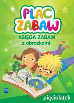 Plac zabaw Księga zabaw z obrazkami Pięciolatek - Karolina Karamuz