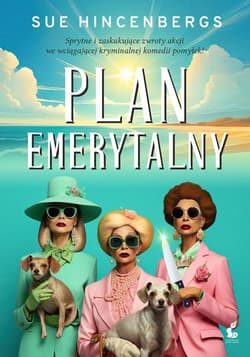 Plan emerytalny - Sue Hincenbergs
