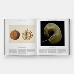 Galeria - zdjęcie nr. 2 - Plant