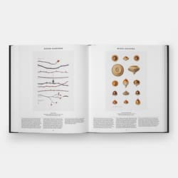 Galeria - zdjęcie nr. 3 - Plant