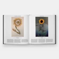 Galeria - zdjęcie nr. 4 - Plant