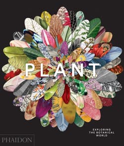 Plant. Exploring the Botanical World wer. angielska - Opracowanie Zbiorowe
