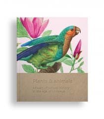 Plants and animals - Praca zbiorowa