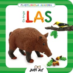 Plastelinkowa akademia Co kryje las?