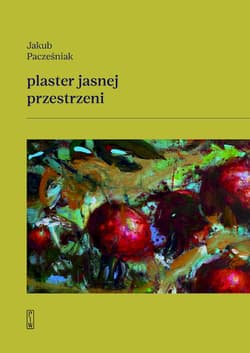 Plaster jasnej przestrzeni - Jakub Pacześniak