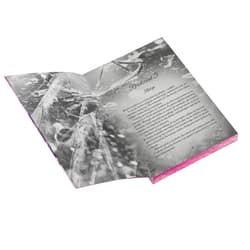 Galeria - zdjęcie nr. 5 - Players' Deal. Players. Tom 2 (ilustrowane brzegi)