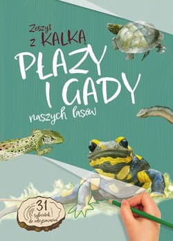 Płazy i gady naszych lasów. Zeszyt z kalką wyd. 2025 - Katarzyna Kopiec-Sekieta