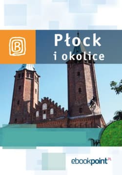 Płock i okolice. Miniprzewodnik - ebook - Praca zbiorowa