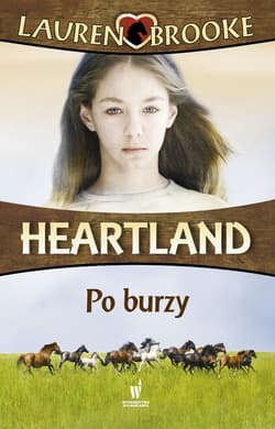 Po burzy - ebook