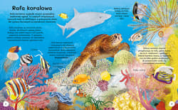 Galeria - zdjęcie nr. 2 - Po co zebrom paski? Wiem wszystko o zwierzętach