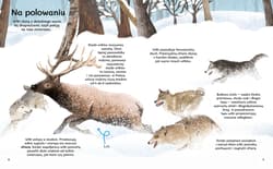 Galeria - zdjęcie nr. 3 - Po co zebrom paski? Wiem wszystko o zwierzętach