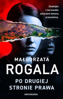Po drugiej stronie prawa - Małgorzata Rogala