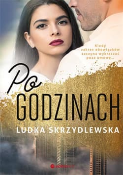 Po godzinach - ebook - Ludka Skrzydlewska