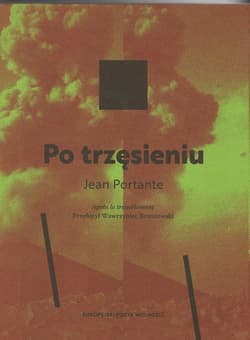 Po trzęsieniu