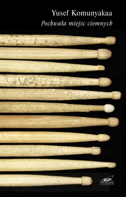 Pochwała miejsc ciemnych