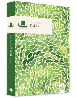 Początki - Carl Frode Tiller