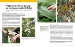 Galeria - zdjęcie nr. 2 - Początkujący ogrodnik Uprawa warzyw