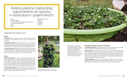 Galeria - zdjęcie nr. 5 - Początkujący ogrodnik Uprawa warzyw