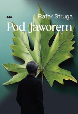 Pod Jaworem - Struga Rafał