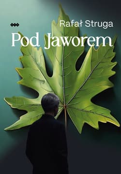 Pod Jaworem - Struga Rafał