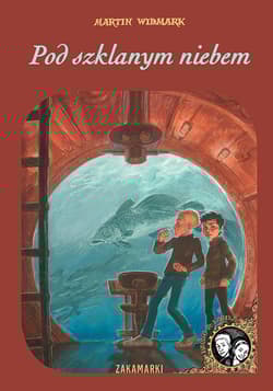 Pod szklanym niebem - Martin Widmark