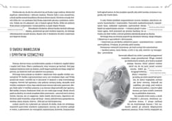 Galeria - zdjęcie nr. 4 - Podania i legendy polskie