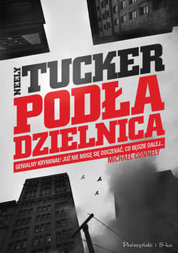 Podła dzielnica - ebook - Neely Tucker