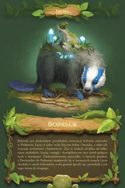Galeria - zdjęcie nr. 5 - Podmesze: Ilustrowany bestiariusz fantastycznych stworzeń wyd. 2