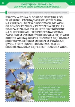 Galeria - zdjęcie nr. 3 - Podróż przez pory roku część 3 nowe wydanie Materiały dla II etapu nauczania uczniów z niepełnosprawnością intelektualną w stopniu umiarkowanym