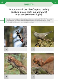 Galeria - zdjęcie nr. 2 - Podróż przez pory roku z kartami pracy. Część 1