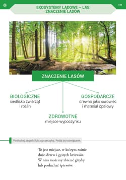 Galeria - zdjęcie nr. 3 - Podróż przez pory roku z kartami pracy. Część 1