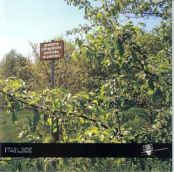 Podróże w pamięć