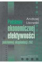 Podstawy ekonomicznej efektywności podziemnej eksp - Andrzej Lisowski