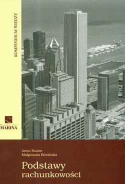 Podstawy rachunkowości Kompendium wiedzy - Kuzior Anna, Rówińska Małgorzata