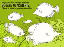 Galeria - zdjęcie nr. 2 - Podwodnik