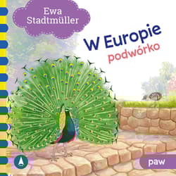 Podwórko. Paw. W Europie - Ewa Stadtmuller