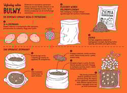 Galeria - zdjęcie nr. 2 - Podziemnik