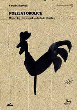 Poezja i okolice Między krytyką literacką a historią literatury - Karol Maliszewski