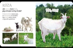 Galeria - zdjęcie nr. 2 - Pogłaszcz wiejskie zwierzątko