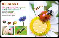 Galeria - zdjęcie nr. 2 - Pogłaszcz zwierzątko na łące