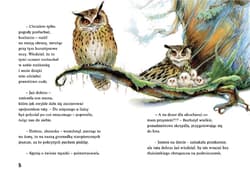 Galeria - zdjęcie nr. 2 - Pogoda dla puchaczy. Jesień