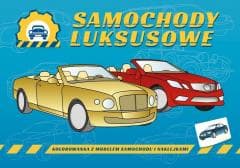 Pojazdy do Zadań Specjalnych. Samochody luksusowe - Kochanowska Sabljak Agnieszka