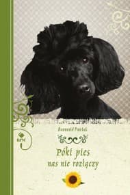 Póki pies nas nie rozłączy - ebook - Romuald  Pawlak