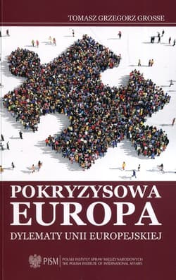 Pokryzysowa Europa Dylematy Unii Europejskiej - Grosse Tomasz Grzegorz
