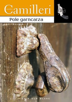 Pole garncarza - ebook - Andrea Camilleri